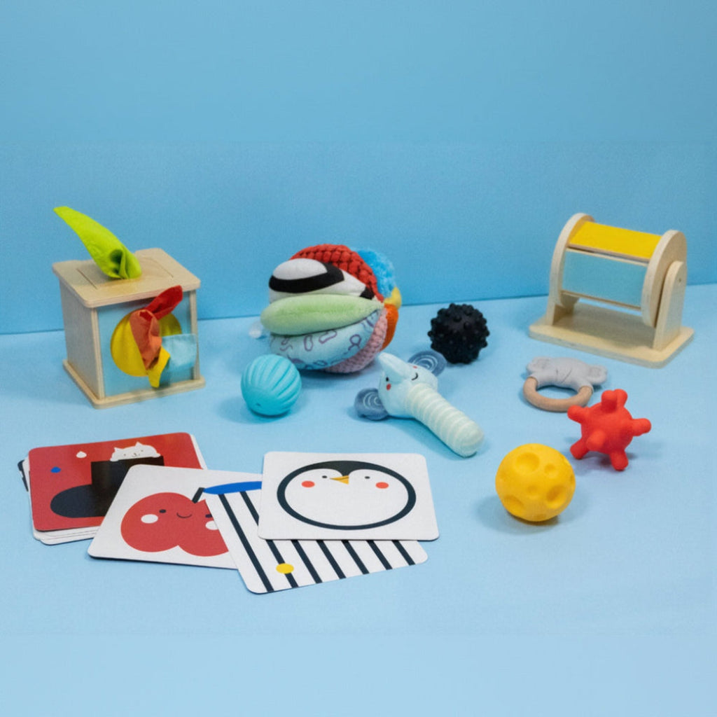 BOX Sensoriale